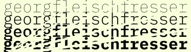 Georg Fleischfresser, Logo