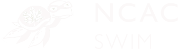 Turtle Logo