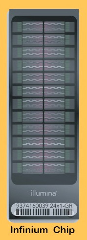 Genetic Testing for Sports Performance