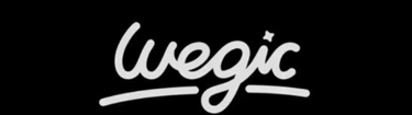 Wegic AI Image logo