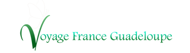 Logo voyage france guadeloupe