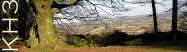 Gidleigh woods