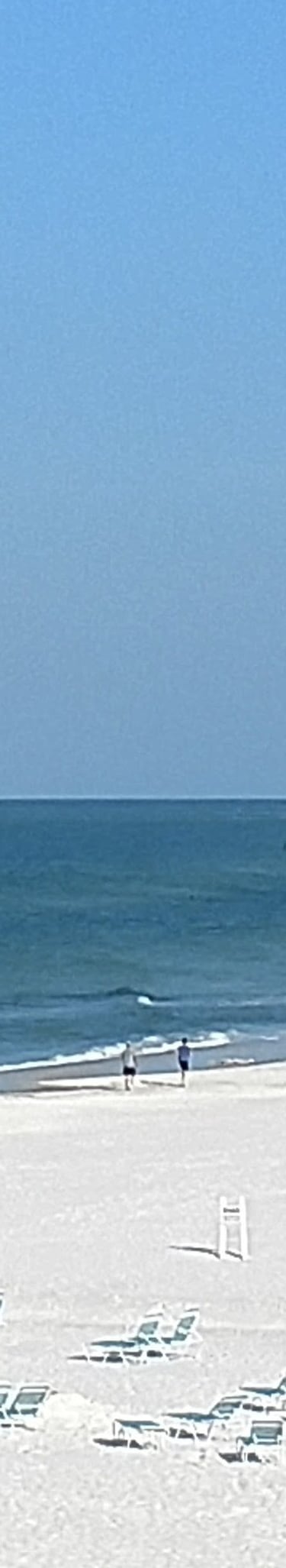 siesta key beach on a clear and sunny day