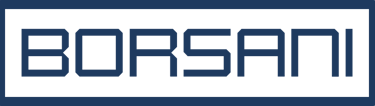 Logo Borsani