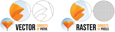 what is the difference between vector vs raster