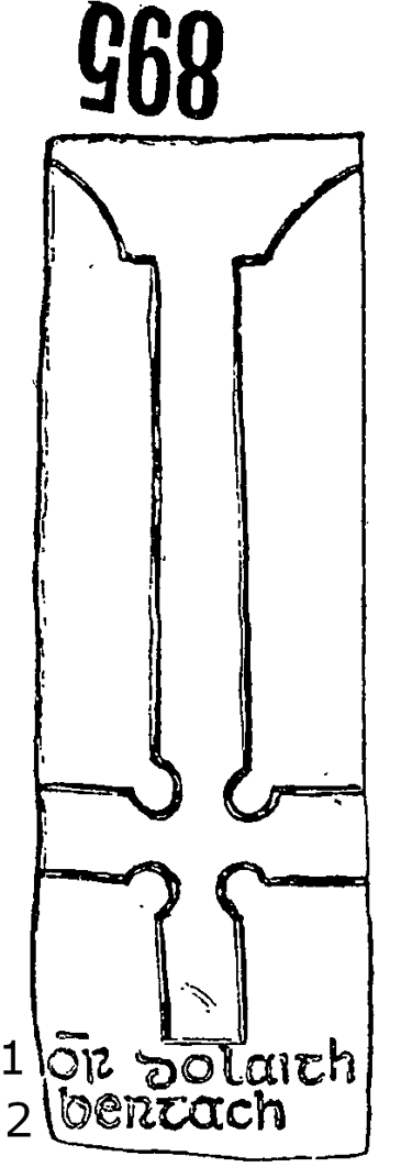 Iniscealtra Runestone 895 - Barony of Tulla Upper, County Clare, Ireland