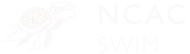 Turtle Logo