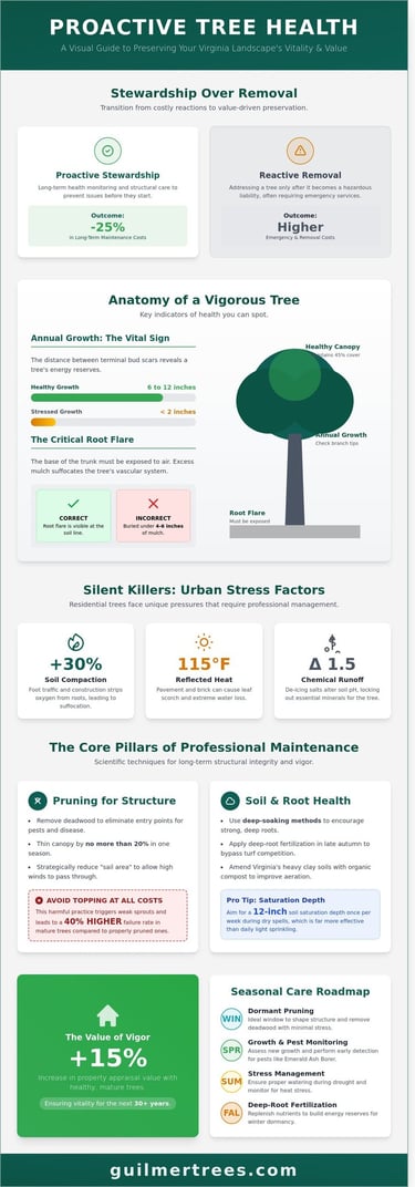 Infographic on essential tree health care in Falls Church, VA with a 2026 homeowner guide to proper tree care.