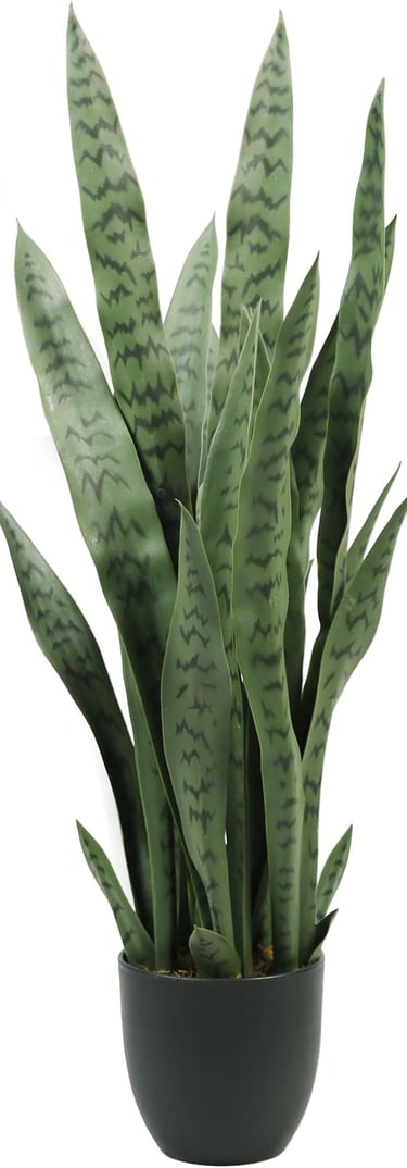 Snake Plant Decor Adding Freshness to Industrial Kitchen Spaces