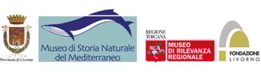 Vai al Museo di Storia Naturale del Mediterraneo