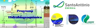 banner com logos instituicionais
