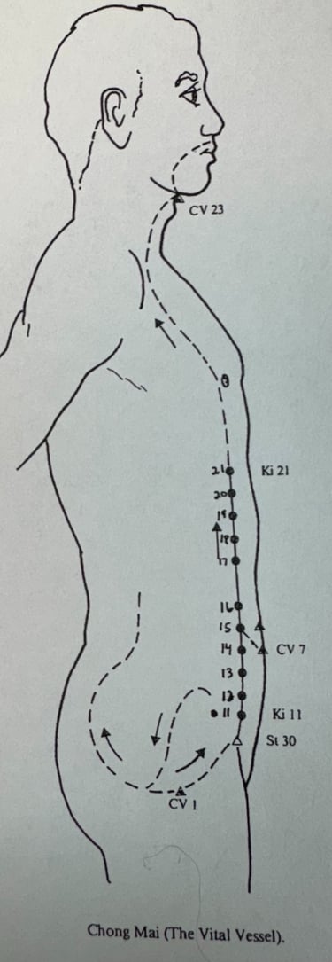 Chong Mai (side view): penetration of prenatal jing through the core of the body.