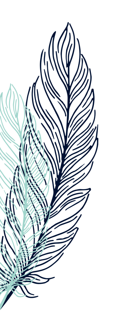 Plumes