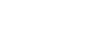 Celagenix Financial Services logo (white)