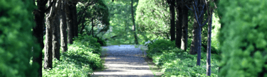 Coaching in Nature image