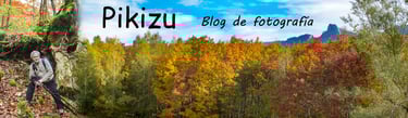Cabecera Blog Pikizu