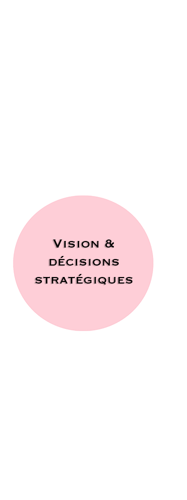 strategic vision