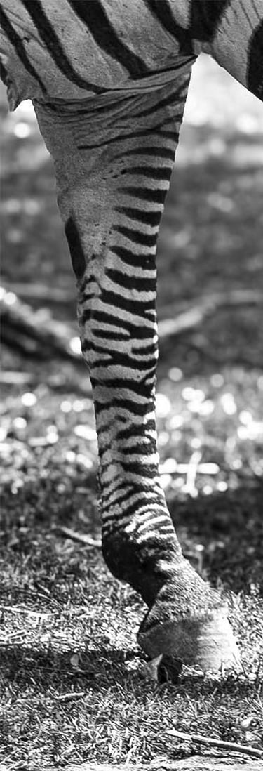 9º ClasificadoConcursillo Octubre 2025 BN