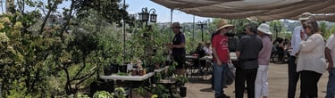 Plant sale with members talking in the background