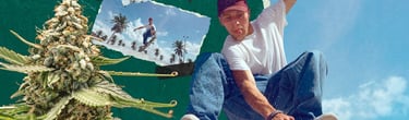 Skater performing a trick mid-air on a skateboard collage featuring cannabis flowers and palm trees.
