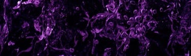 purple black abstract