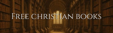 a library with a long row of bookshelves and a large window with a