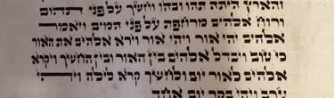 Picture of our Torah Scroll - Bereishit