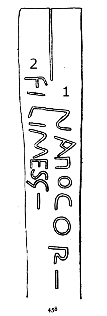 Cardynham Runestone 458 - Cardynham Parish, Cornwall