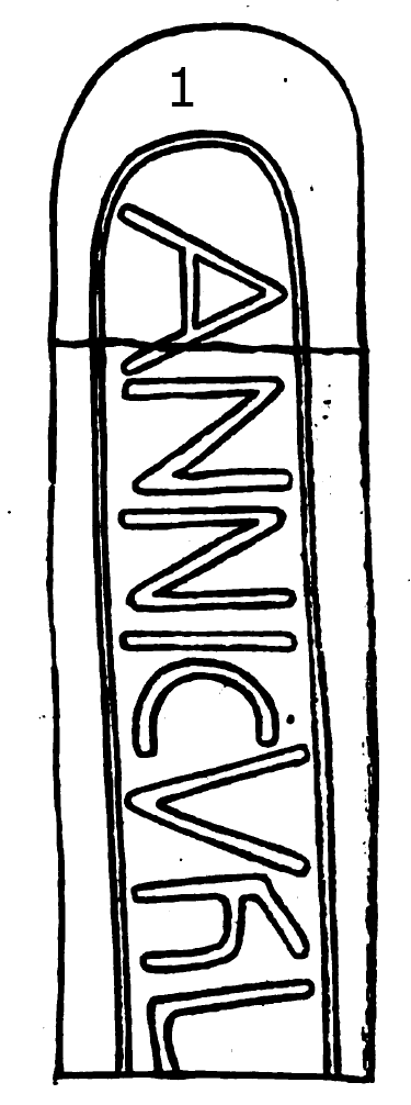 Lanivet Runestone 465 - Lanivet Parish, Cornwall