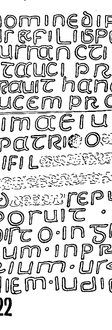 Merthyr Mawr Runestone 1022  - County Glamorgan, Wales