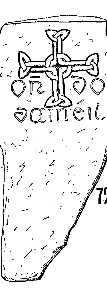 Clonmacnois Runestone 720 - Barony of Garrycastle, County of Offally, Ireland