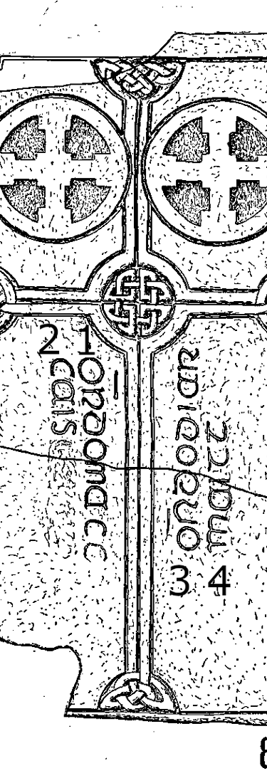 Glendaloch Runestone 881 - Barony of Ballinacor North  Clonlonan, County Wicklow, Ireland 