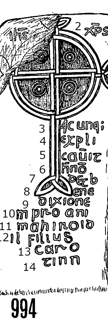 Llanwnnws Runestone 994  - County Carmarthen, Wales