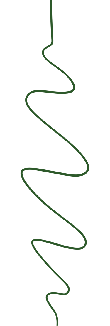 Ligner verte pour représenter la frise chronologique de Kadiamor et comment le projet a émergé