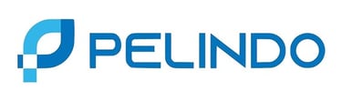 The blue Pelindo logo featuring an abstract circular icon next to bold sans-serif corporate branding text.