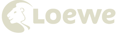 Loewe Verlag Logo