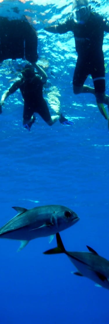 Anbadlola voyage france guadeloupe