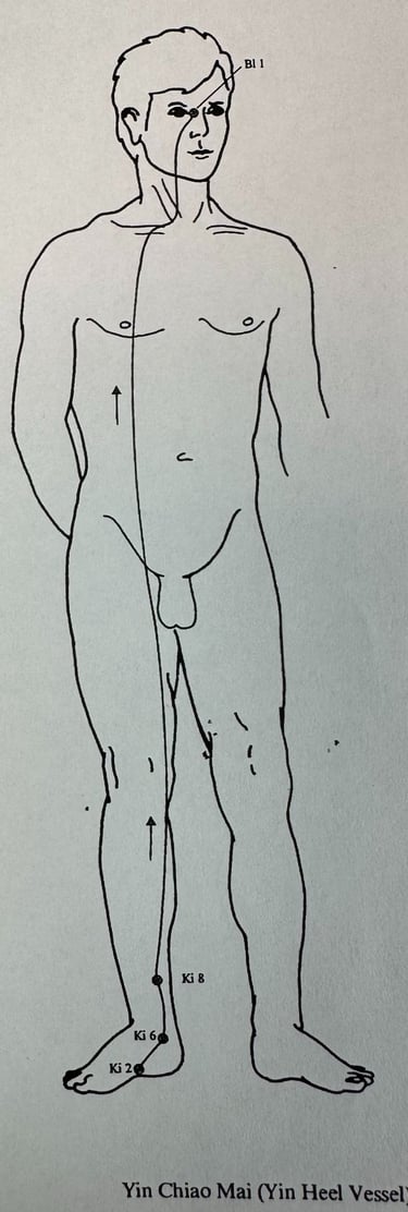 Yin Qiao Mai (Yin Heel Vessel): how we stand in relation to ourselves and to rest.