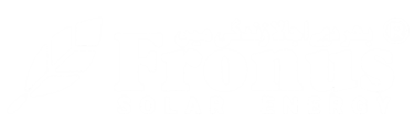 Fronus Solar Energy logo