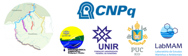 logoa cnpq, unir, puc, labmam