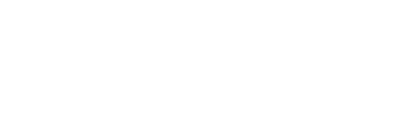 Logo Premier Imports do rodapé do site