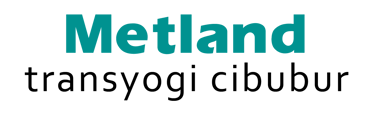 walden - metland transyogi - viralink