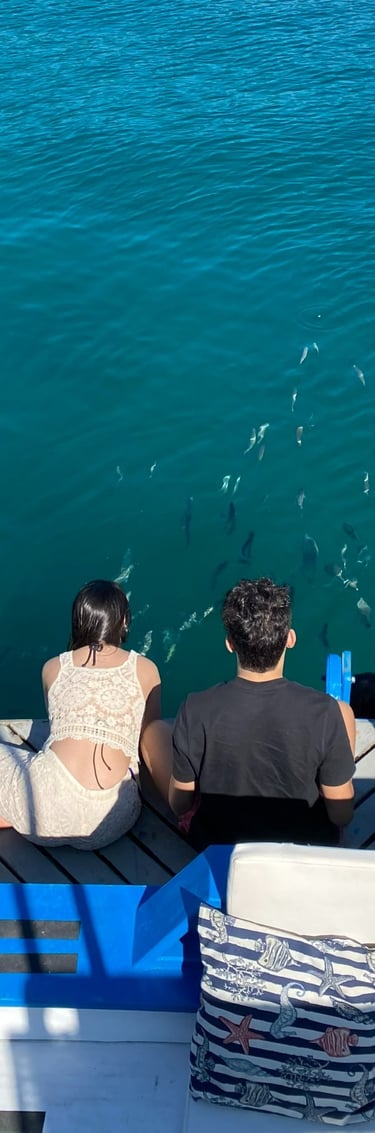 imagem de duas pessoas vendo os peixes a bordo do barco anequim, na ilha comprida em paraty