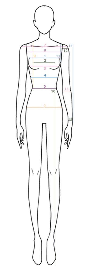 a drawing of a female body shape