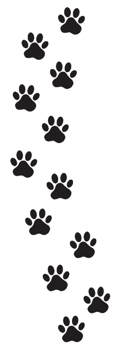 empreinte de chien