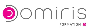 domiris formation IDE