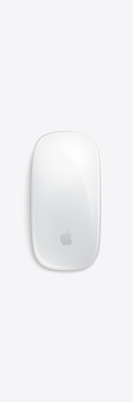 magic mouse