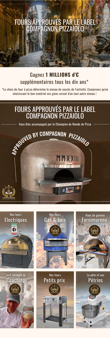 Fours à pizza professionnels top