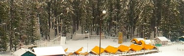 Sherpa Adventures Camping and Adventures Sports at Sanasar