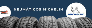 Neumáticos Michelin en Ávila